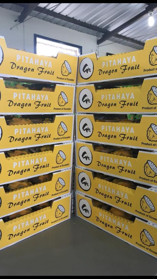 WhatsApp Image 2026-02-27 at 08.59.30