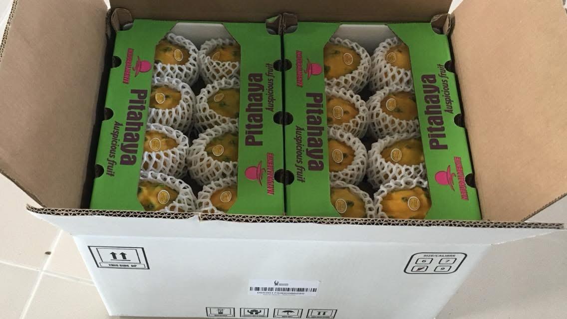 WhatsApp Image 2026-02-27 at 08.59.32