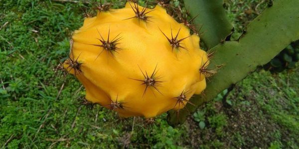 WhatsApp Image 2026-02-27 at 14.14.15